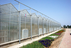 PC Greenhouse