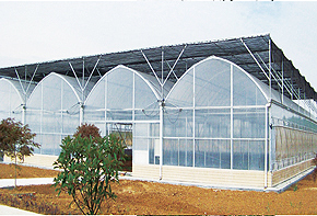 Film Greenhouse