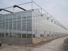 Glass greenhouse