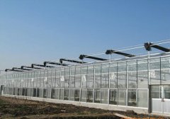 Glass greenhouse