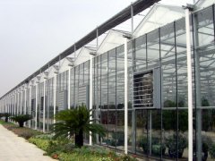 Glass greenhouse