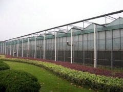 Glass greenhouse