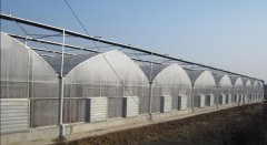 PC Greenhouse