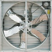 Ventilation Fan