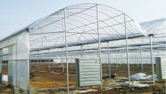 Film Greenhouse