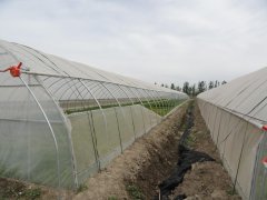 Film Greenhouse