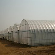 Film Greenhouse