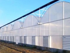 Film Greenhouse