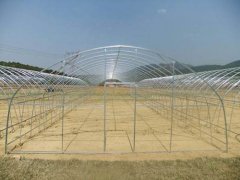 Film Greenhouse