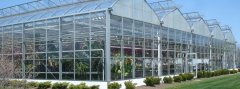 Glass Greenhouse