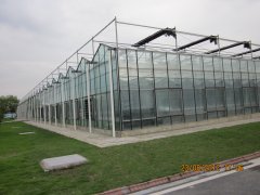 Glass Greenhouse