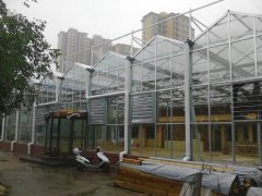 Glass Greenhouse