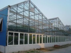 Glass Greenhouse