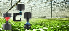 Irrigation System