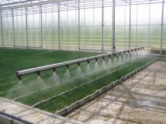 Irrigation System