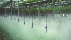 Fog System