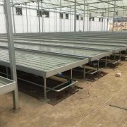 Seedbed