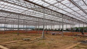 Greenhouse Structure